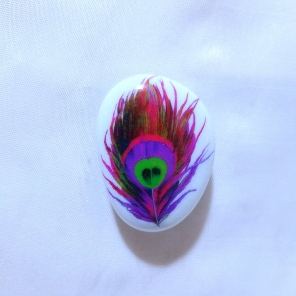 Magical Feather Fridge Magnets Office Magnet set of 5 - Picture 6 of 8